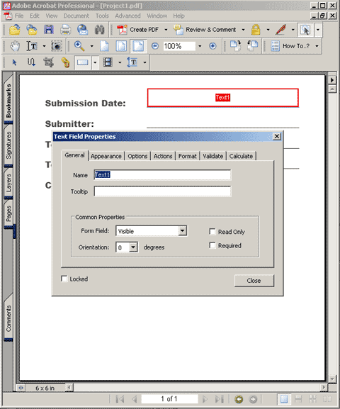 Text Field option screen in Acrobat